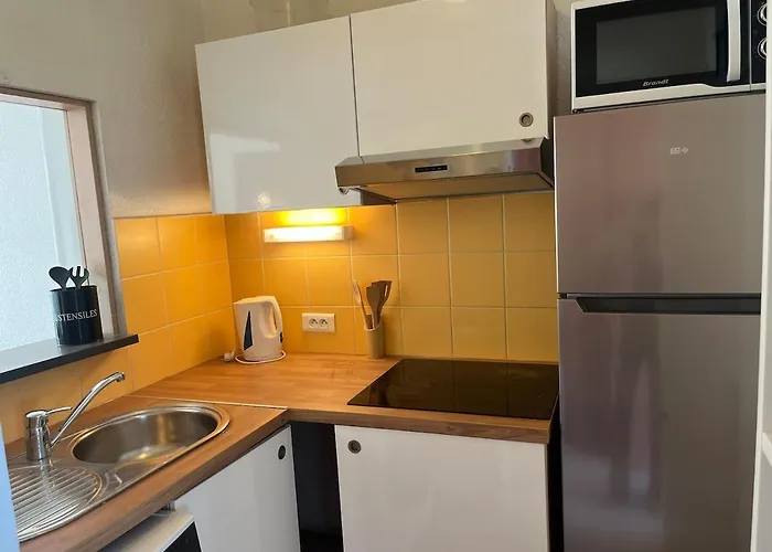 Apartman Spacieux T3 Renove Grand Jardin Parking Clim - Maconciergerie34
