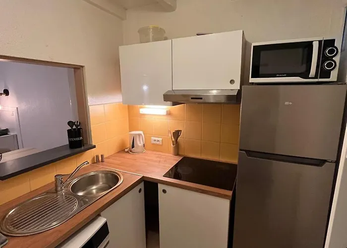 Apartman Spacieux T3 Renove Grand Jardin Parking Clim - Maconciergerie34